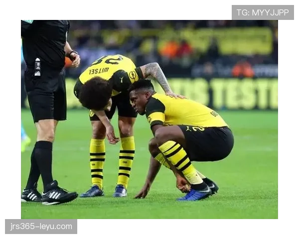 德甲大黄蜂新赛季强势启航,新援助力状态回升剑指冠军 德甲大黄蜂新赛季强势启航,新援助力状态回升剑指冠军